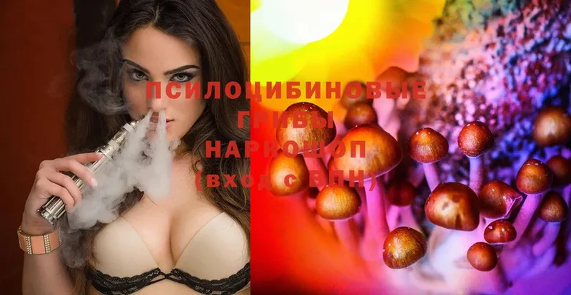 наркотики  Билибино  Псилоцибиновые грибы Cubensis 